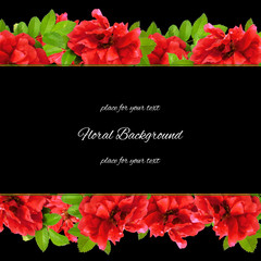 Wall Mural - background  made of fresh terry rosehips  flowers  and place for text