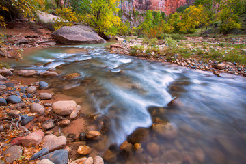 Wall Mural - Autumn of the narrows and Virgin River in Zion National Park Zion, usa