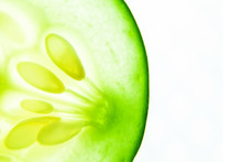 Closeup Macro Of Cucumber Green Color On White Background With Copy Space