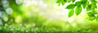 canvas print picture - Grüne Blätter verzieren einen breiten Bokeh  Hintergrund aus Glanzlichtern in der Natur
