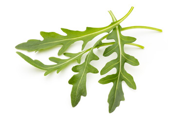 Wall Mural - Close up studio shot of green fresh rucola isolated on white background.