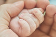 © elmowski - A parent holding the hand of a newborn baby