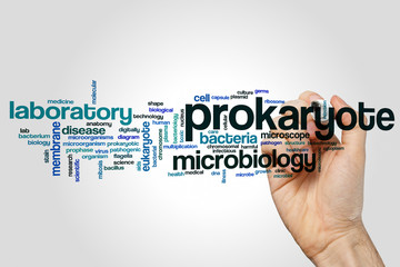 Canvas Print - Prokaryote word cloud