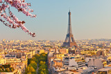 Fototapeta  - View on Eiffel Tower in Paris at spring, France
