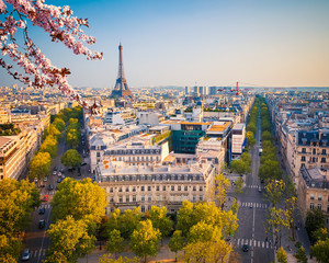 Wall Mural - View on Paris at spring evening, France