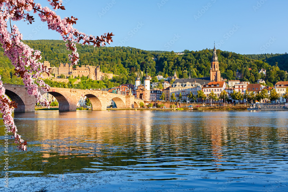 View on Heidelberg at spring, Germany - obrazy, fototapety, plakaty 