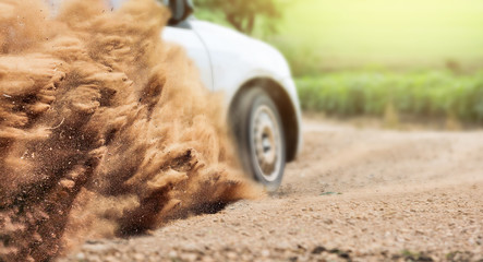 Wall Mural - Rally Car speed in dirt track