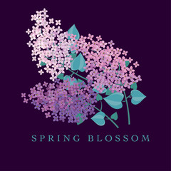 Wall Mural - Lilac spring blossom vector illustration. Floral branch of violet blooming for cards, header, invitation, print..