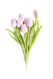 Fototapeta Tulipany - Pink tulips bouquet isolated on white background