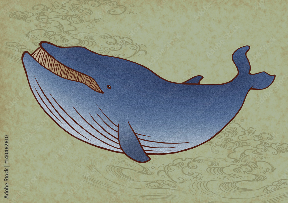 クジラ、シロナガスクジラ、ヒゲクジラ Stock Illustration | Adobe Stock