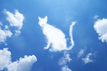 Cat cloud shape on sky.