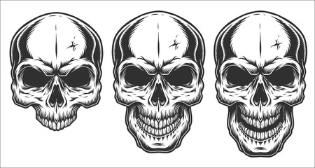 Poster - Monochrome illustration of skull. On white background