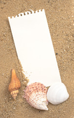 Wall Mural - Empty white note paper and shells on beach sand,Holiday concept