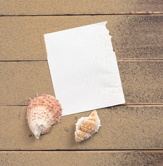 Wall Mural - Empty white note paper and shells with sand on wood,Holiday concept