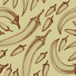 Seamless hand drawn background with chili peppers