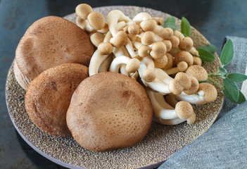 Wall Mural - Shiitake and shimeji mushrooms on a plate, closeup