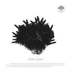 Wall Mural - Black silhouette of a bush on a white background. Forest trees