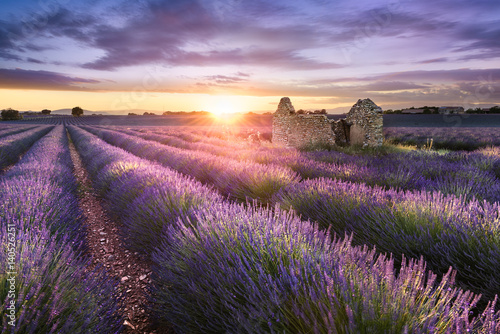 Fototapeta na szkło LAVENDER W POŁUDNIOWEJ FRANCJI