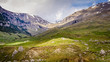 panorama with Carpathians mountain landscape in spring, summer. mountain scenery from high altitude with beautiful nature, peaks, rocks, green meadows, spring vegetation