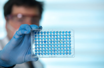 Wall Mural - researcher in the laboratory holding samples in microplate / Scientist in lab holding a 96 well plate for analysis