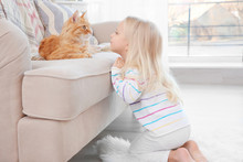 Cute Little Girl With Red Cat At Home