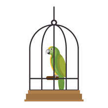 Cute Bird Parrot In Cage Mascot Vector Illustration Design
