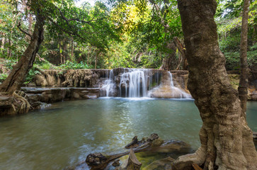 Wall Mural - Waterfall in Thailand