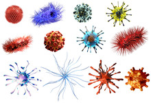 Virus And Bacteria Large Collection. Detailed Medical Illustration Of Viruses And Bacteria Isolated On White Background