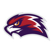 Hawk Head Mascot Vector Logo