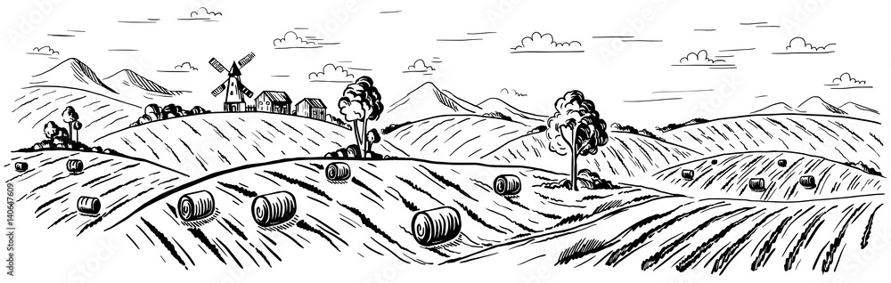 Rural landscape field wheat in graphical style. Hand drawn and ...