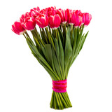 Fototapeta Tulipany - Pink tulips isolated on white