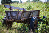 Fototapeta Sypialnia - old cart at a farm
