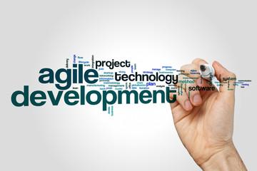 Wall Mural - development word cloud on grey background