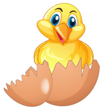 Cute Chick In Cracked Egg