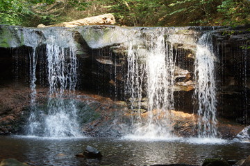 Ricketts Glen 21