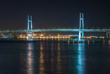 Fototapeta  - Yokohama Bay Bridge at night - 夜の横浜ベイブリッジ