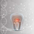 Tooth cross section abstract DNA light grey background 