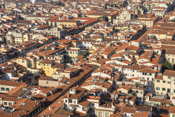 Wall Mural - Florence from height