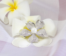 Diamond And Pearl Brooch In Flower Shape On White Flower Background
