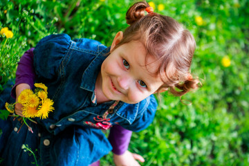 little curly girl sitting on the grass. a child holding a dandelion. girl with two tails on head smi