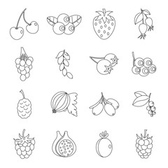 Wall Mural - Berries icons set, Outline style