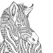 Coloring Book page for Adult and children. Zebra