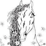 Fototapeta Konie - Coloring Book page for Adult and children. Funny Horse