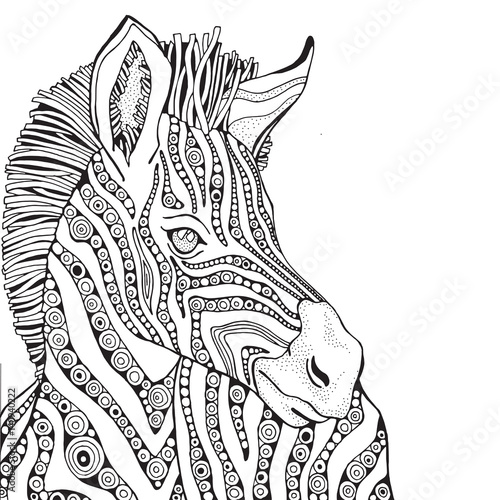 Download Coloring Book Page For Adult And Children Zebra Stock Vector Adobe Stock