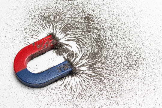 Wall Mural - Red and blue horseshoe magnet or physics magnetic with iron powder magnetic field on white background. Scientific experiment in science class in school.