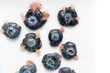 Blueberry isolated, rich in antioxidants