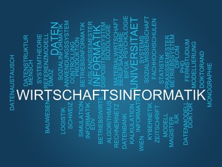 Poster - Wirtschaftsinformatik