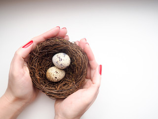 two hands carefully holding a nest with eggs of quail, the concept of caring, Easter, space for text