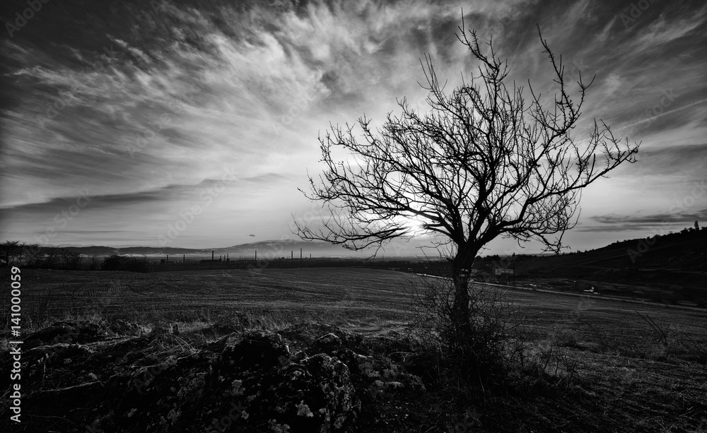 black and white sunset wallpaper