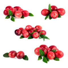 Wall Mural - Collection of cranberries on white